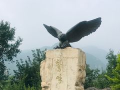 -阳台山自然风景区