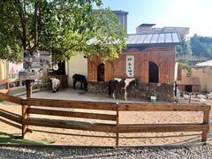 -HERRE·FARM 赫尔露营农场·团建聚会包场