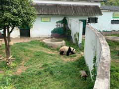 -无锡动物园·太湖欢乐园