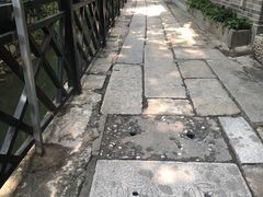 -小洲村