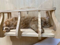 -猫和宫(六道口店)