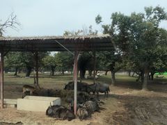 -西安秦岭野生动物园