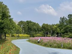 -春花秋色城市公园