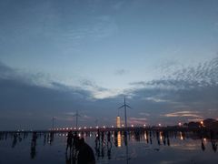 -奉贤海滩