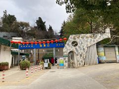 -昆明动物园