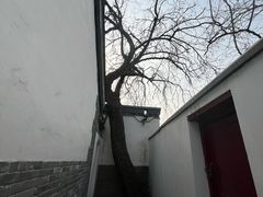 -北京鲁迅博物馆(北京新文化运动纪念馆鲁博馆区)