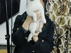 android_upload_pic-A+摄影