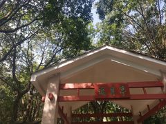 -火炉山森林公园