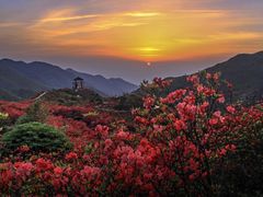 -大围山国家森林公园