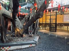 -不曾在把把烧•烧烤(莲坂磐基店)