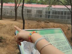 -石家庄市动物园