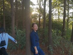 -艾溪湖湿地公园