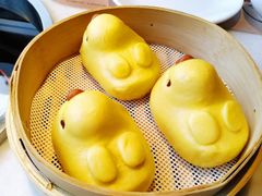 -煲宫猪肚鸡(晶品店)
