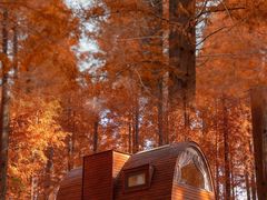 -黄海国家森林公园