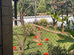 -武汉动物园