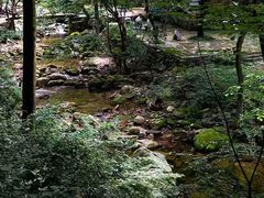 -少华山国家森林公园