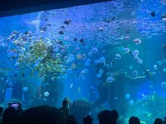 -波塞冬海底世界