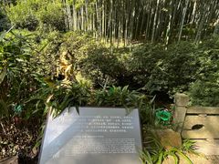 -杭州黄龙洞