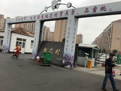 -南汇桃花村