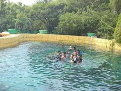 -上海玛雅海滩水公园