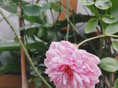 -拾壹cafe·工作室