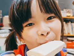 -钟薛高(南头古城店)