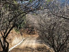 -福建天门山