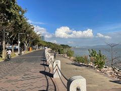 -深圳湾公园(南山区)