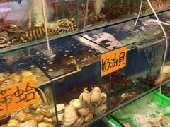 -垦丁辉哥生鱼片
