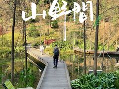 -云溪植物园