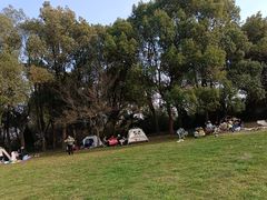 -蜀冈西峰生态公园