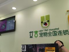 -艾吉宠物医院·疑难杂症转诊中心·猫友好(碧江路院)