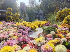 -南山植物园