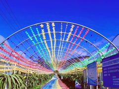 -海堤葡萄园中小学生研学基地