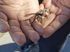 -上海吴淞炮台湾国家湿地公园