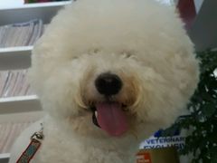 -爱侣宠医·鹦鹉专科·小型哺乳类·异宠专科(灵石路店)