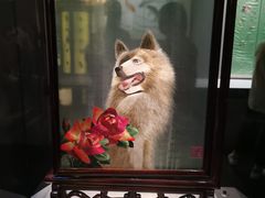 -四川博物院
