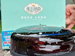 -维尔纳斯·生日蛋糕·动物奶油冰淇淋蛋糕(六里桥店)
