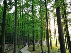 -南京金牛湖风景区