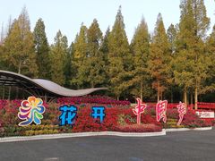 -东平国家森林公园