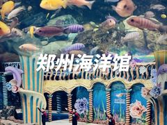 -郑州海洋馆