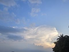 -海珠湖公园