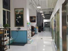 -欧奕国际动物医院