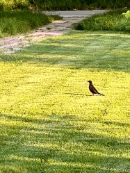 -大望京儿童游乐场