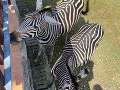 -上方山森林动物世界