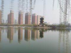-迎泽公园