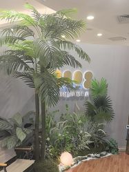 点击看大图 -八佰伴8008星级形象店