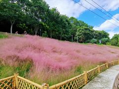 -牛岗山公园