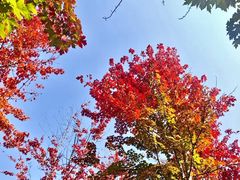 -九鼎铁刹山风景区