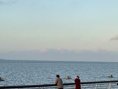 -贡湖湾湿地公园